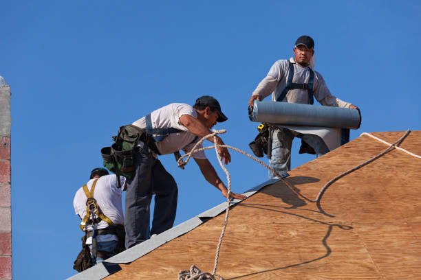 Best Roof Replacement Cost  in Roseto, PA
