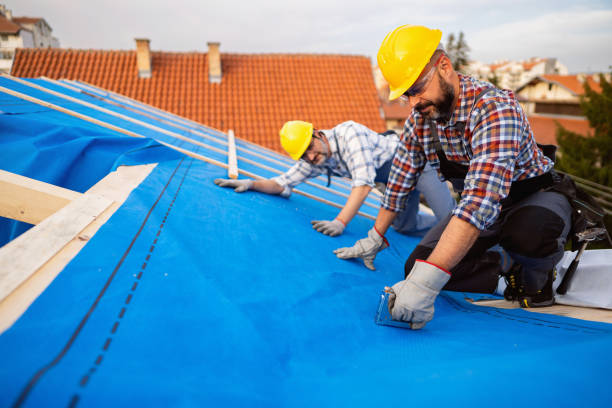 Best Local Roofing Companies  in Roseto, PA