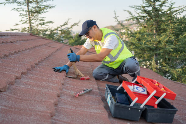 Best Roof Gutter Cleaning  in Roseto, PA