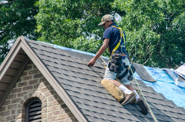 Best New Roof Installation  in Roseto, PA
